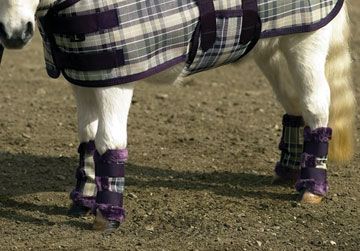 Kensington Miniature Horse Fly Boots
