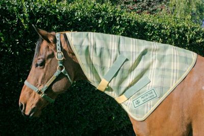 Kensington Protective Neck Cover