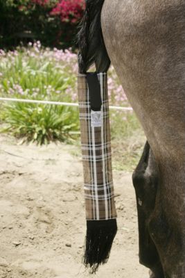 Kensington Tail Cover