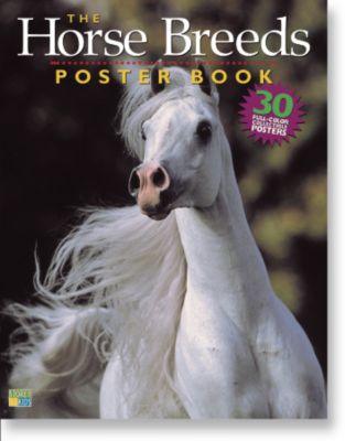Horse Breeds Poster Book