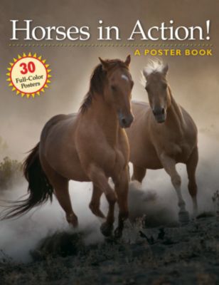 Horses in Action Poster Book
