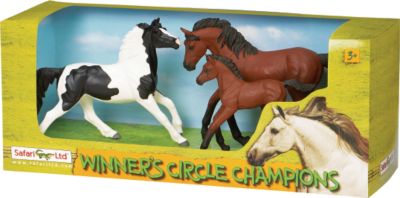 Winner's Circle Champion Set