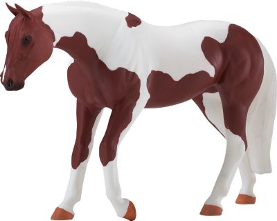 American Paint Blue Ribbon Horse