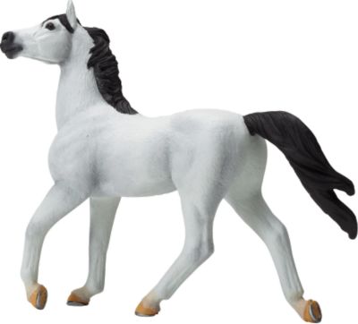 Arabian Blue Ribbon Horse