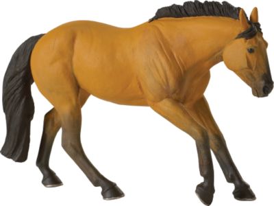 Buckskin Quarter Horse Blue Ribbon Horse