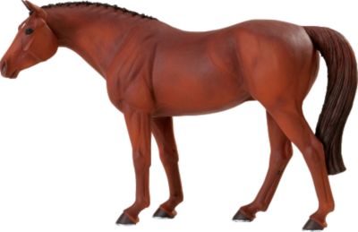 Hanoverian Blue Ribbon Horse