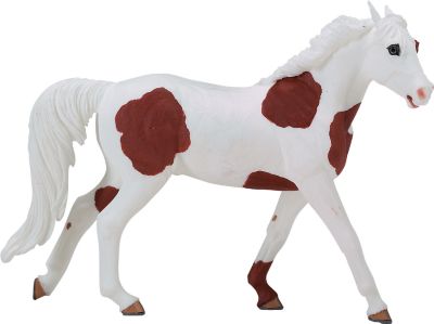 American Paint Winners Circle Horse