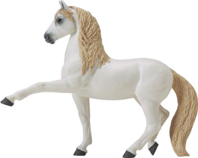Andalusian Winners Circle Horse