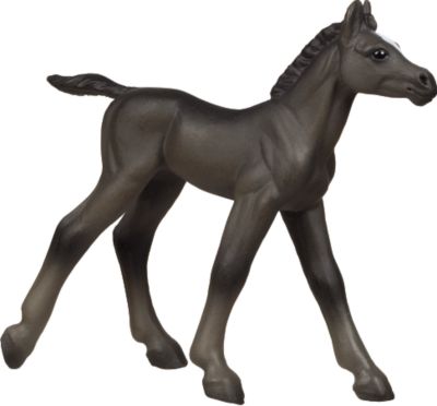 Arabian Foal Winners Circle Horse