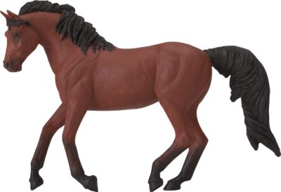 Morgan Winners Circle Horse