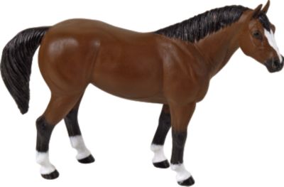 Quarter Horse Winners Circle Horse