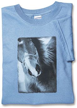 Winter Horse Tee
