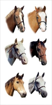 Kelley Colorful Horse Head Stickers Best Price