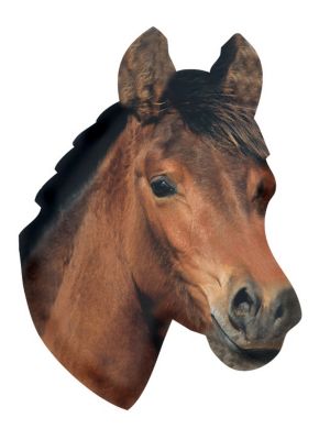 Kelley Horse Head Refrigerator Magnet Best Price
