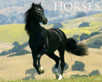Kelley Just Horses 2012 Calendar Best Price