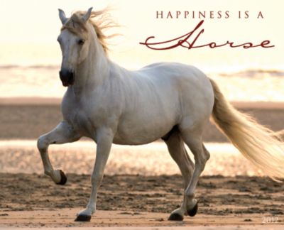 Kelley Happiness is Horse 2012 Calendar Best Price