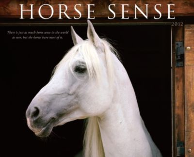 Kelley Horse Sense 2012 Calendar Best Price