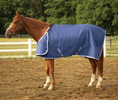 HUG Lightweight Horse Blanket (150 Grams Fill)