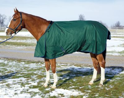 HUG Abrazo Midweight Turnout Horse Blanket