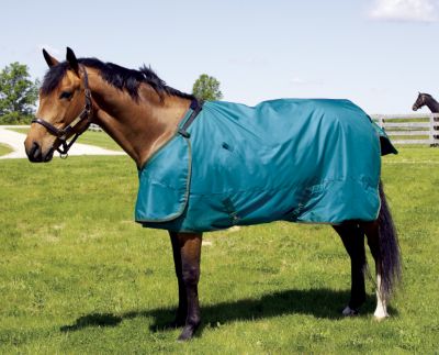 HUG Abrazo Lightweight Turnout Horse Sheet (no fill)