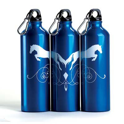 Kelley Aluminum Sport Bottle Best Price