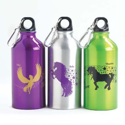 Bella Sara Aluminum Sports Water Bottle Best Price