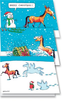 KY Fergus Christmas Cards Best Price