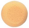 Hydra Sponge 2 3/4 Round Sponge Best Price