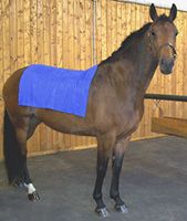 Coldflex Vet and Equine Blanket Best Price