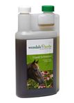 Wendals Herbs Echinacea Liquid Best Price