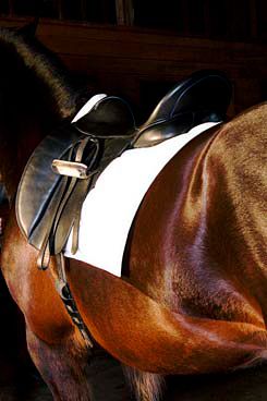 Moxie Cavalero Bamboo Saddle Pad