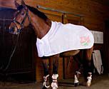 Moxie BodyGuard Horse Scrim Sheet