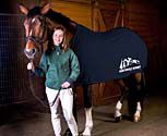 MoxieBoo Bamboo Horse Cooler