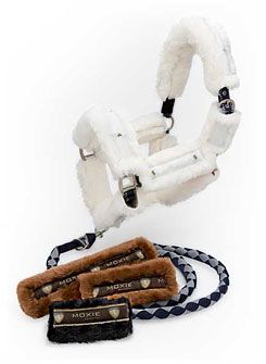 Cavalero by Moxie 9 Piece Halter Set
