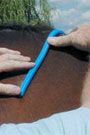 Nunn Finer Saddle Fitting Curve