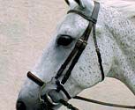 Nunn Finer Original Lever Noseband