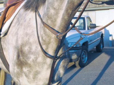 Nunn Finer Running Martingale