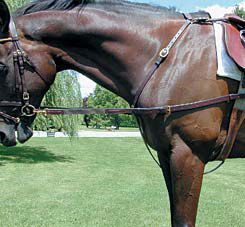 Nunn Finer Elastic Side Reins