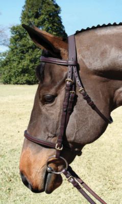Nunn Finer Event Bridle