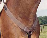 Nunn Finer All Purpose Elastic Breastplate