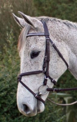 Nunn Finer Figure 8 Bridle