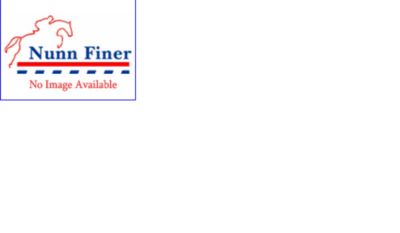 Nunn Finer 5/8 Spring Snaps for Breastplates