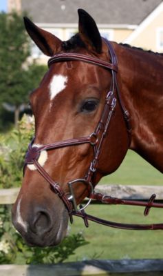 Nunn Finer Milano Figure 8 Bridle Best Price