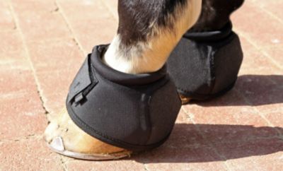 Nunn Finer American Style Bell Boots Best Price