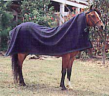 Narrow Gate Tack Equine Wool Cooler