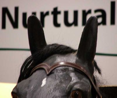 Nurtural Horse Impressive Leather Western Bitless Bridle Best Price