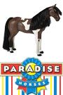 Paradise Horses Cowboy