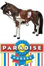 Paradise Horses English Hunt Seat Riding Set