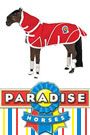 Paradise Horses Paddock Accessory Set