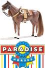 Paradise Horses Western Riding Set